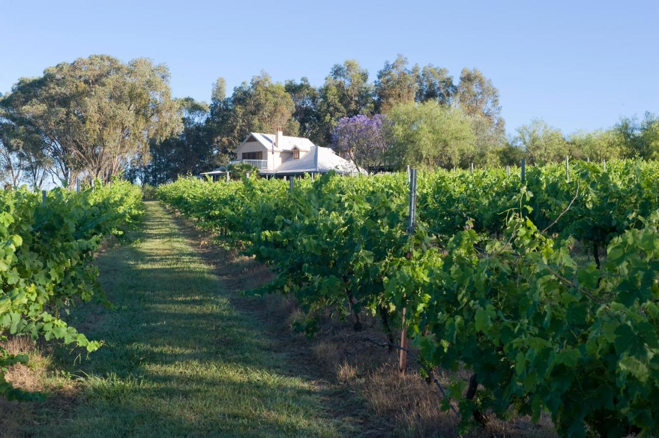 Spicers Vineyards Estate Hotel โพโคลบิน ภายนอก รูปภาพ